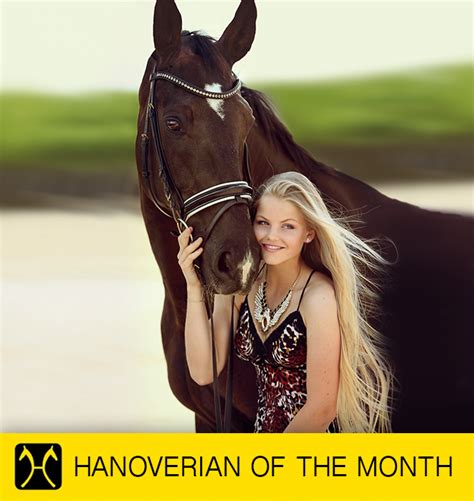 November Hanoverian of the Month: Private Diandra